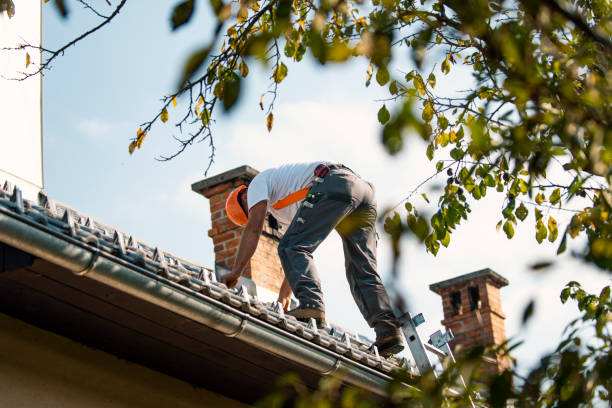 Best Roof Maintenance Services  in Palos Verdes Estates, CA